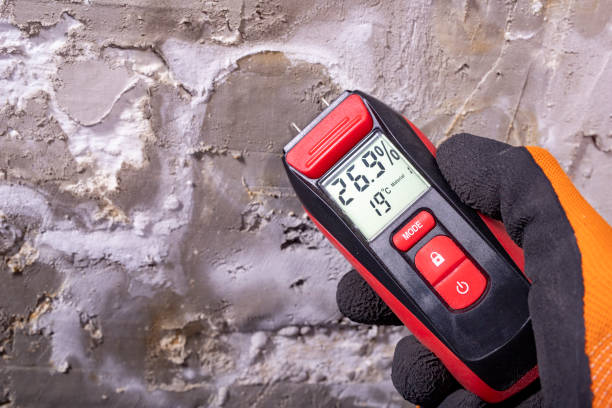 Best Basement Mold Remediation in Pullman, WA