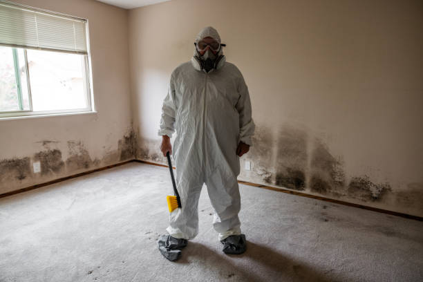 Best Residential Mold Remediation in Pullman, WA